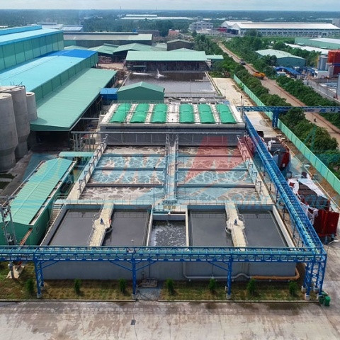 Giấy Giao Long Paper