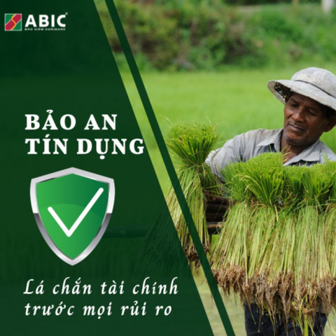 Bảo hiểm Bảo an tín dụng ABIC