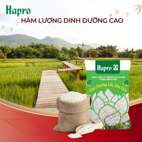 Gạo Hapro Đồng Tháp2010
