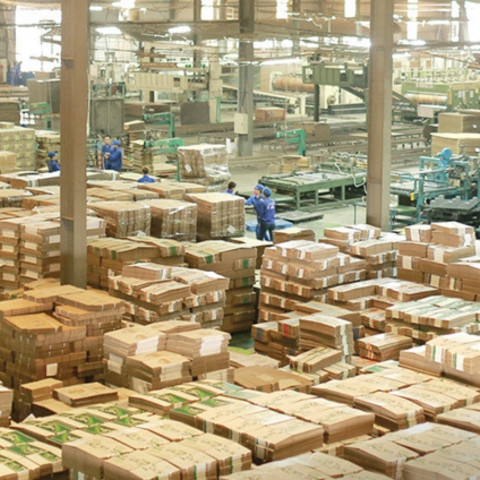 Bao bì Ngọc Diệp