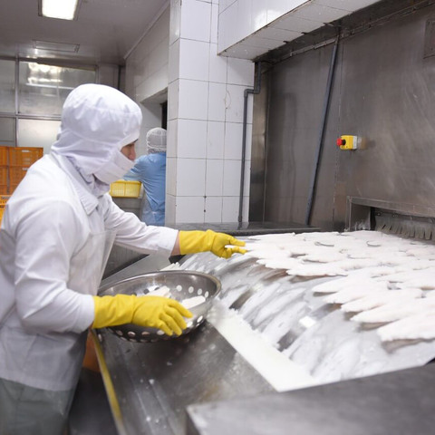 Cá tra Aquatex Bentre