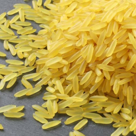 Gạo mầm Vibigaba