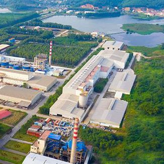 Giấy và bột giấy An Hòa