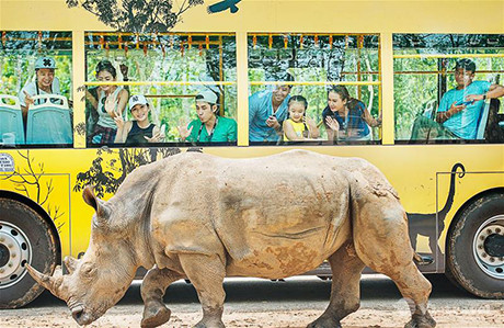 Dịch vụ lữ hành nội địa và quốc tế VIETRAVEL