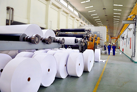 Giấy và bột giấy An Hòa