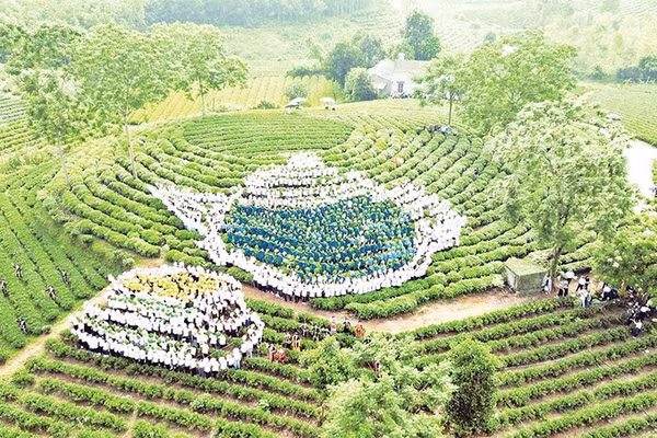 Nhân dân xã Vô Tranh cùng đội nón lá xếp mô hình ấm trà trên đồi chè được xác lập kỷ lục Việt Nam về số người tham gia đông nhất.