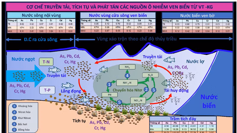 Sơ đồ cơ chế truyền tải, tích tụ và phát tán các nguồn ô nhiễm ven biển từ Vũng Tàu đến Kiên Giang. (Ảnh: TL)