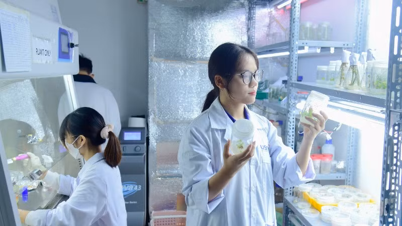 Nghiên cứu tại Trường đại học Khoa học và Công nghệ Hà Nội (USTH). (Ảnh minh họa: TL)