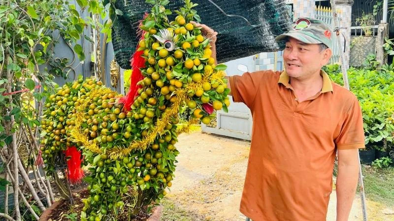 Nghệ nhân Trần Văn Trưởng tạo dáng cây quất thành hình con ngựa bán trong dịp Tết.