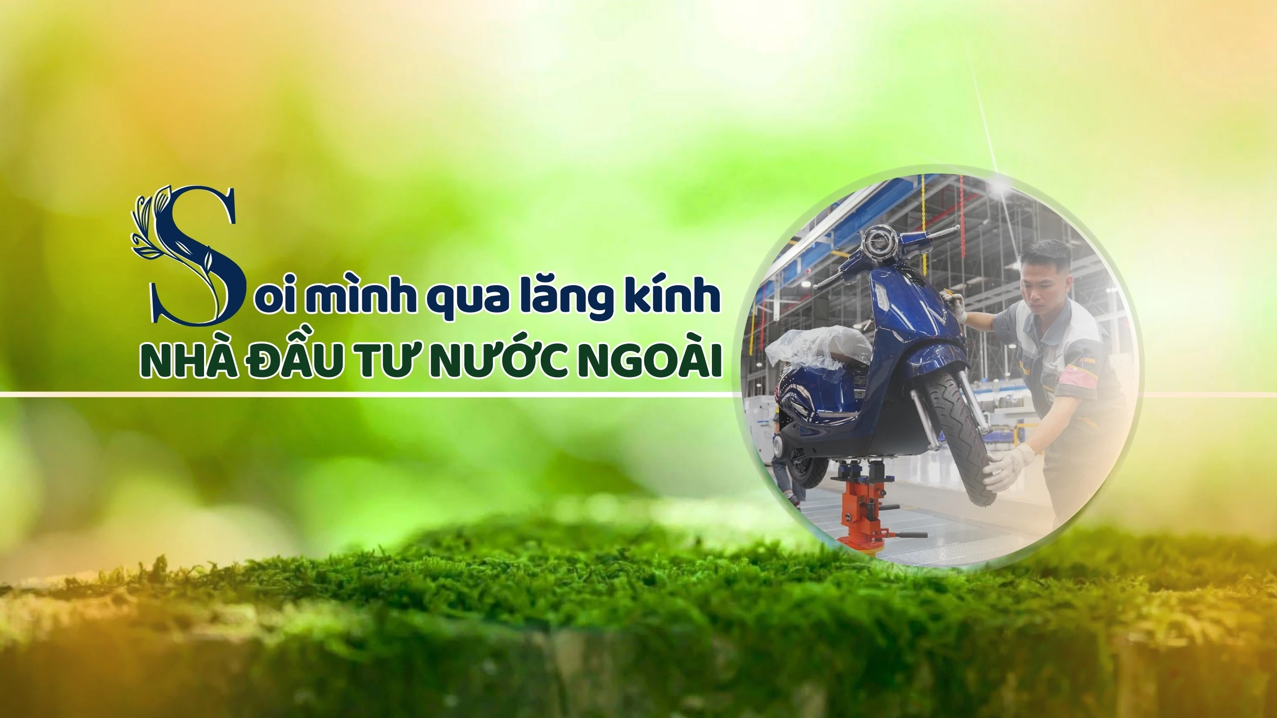 Soi mình qua lăng kính nhà đầu tư nước ngoài
