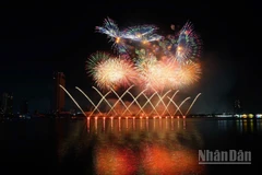 Phần trình diễn của đội Z121 Vina Pyrotech (Việt Nam 2) trong đêm thứ hai DIFF 2025.