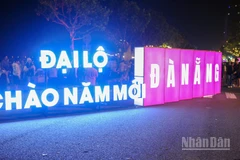 Đại lộ chào năm mới tại phố đi bộ Bạch Đằng (thành phố Đà Nẵng) trong đêm 31/12/2025.