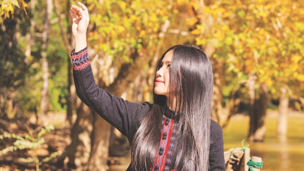 Mùa cây thay lá từ tháng 12 đến tháng 1 năm sau là khoảng thời gian phù hợp nhất để du khách đến check-in và chụp ảnh.