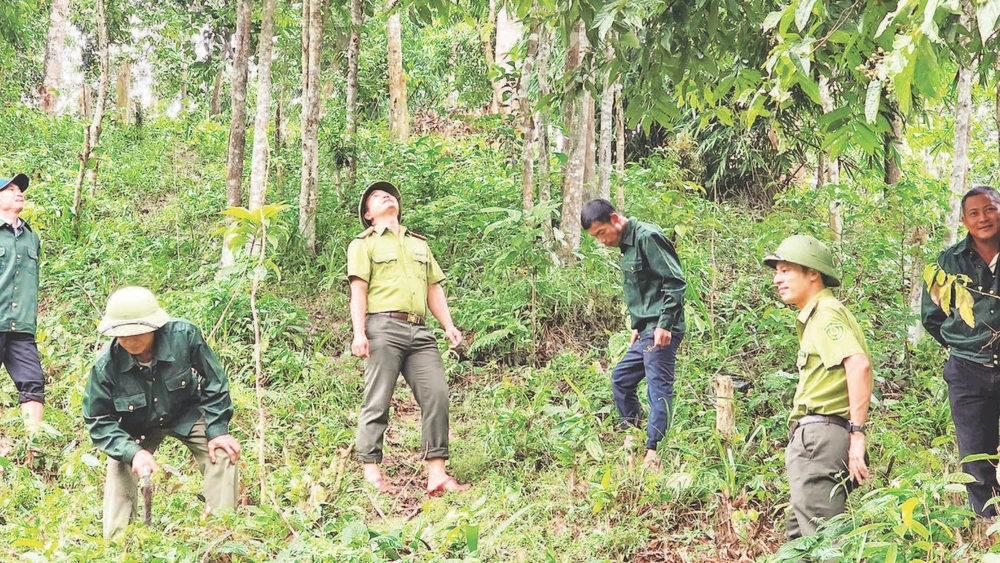 Cán bộ kiểm lâm Vườn quốc gia Xuân Liên và đội bảo vệ rừng thôn Thác Làng trong một chuyến tuần tra.