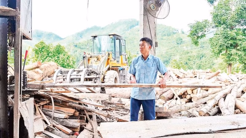 Ông Phùng Thế Tài tại xưởng chế biến gỗ ở thôn Mạ 1, xã Bảo Yên, tỉnh Lào Cai.