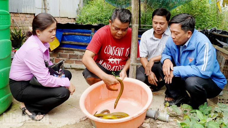 Mô hình nuôi lươn của ông Danh Út (thứ 2, từ trái qua), ở xã Định Hòa, tỉnh An Giang. ndo_bl_4.jpg