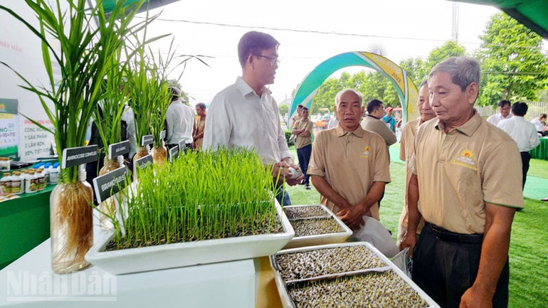 Đại biểu tham quan mô hình trồng lúa giảm phát thải. ndo_bl_2.jpg