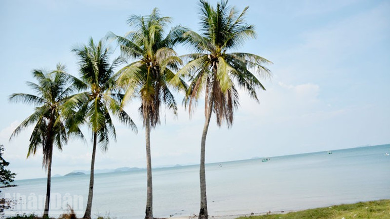 Một góc đảo Hòn Tre, xã Tiên Hải. ndo_bl_2.jpg