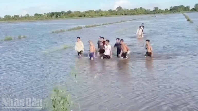 Học viên cai nghiện băng qua cánh đồng trốn theo nhiều hướng. ndo_bl_2.jpg