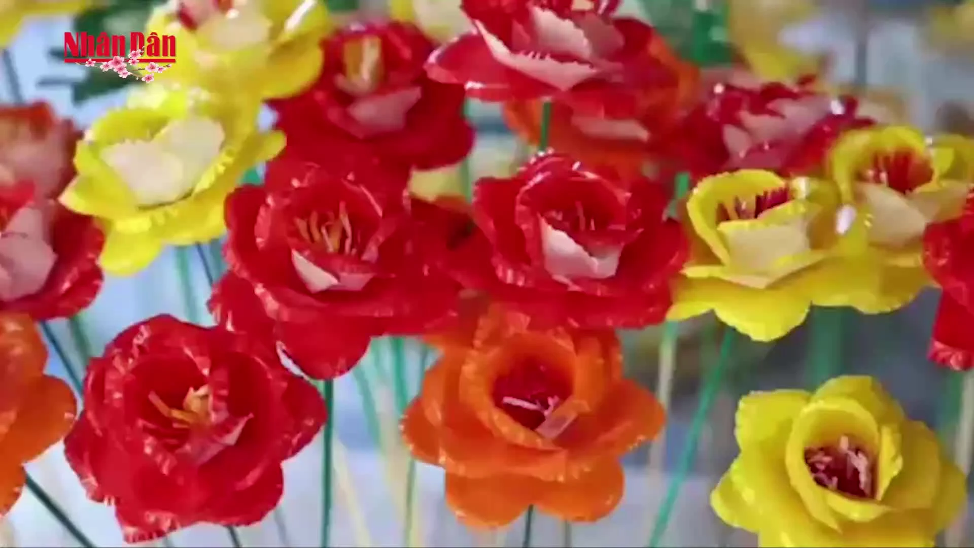 Giữ Hồn Tết Việt Từ Những Cánh Hoa Giấy Thanh Tiên Độc Đáo