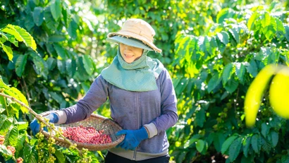 Việt Nam là mắt xích chiến lược trong chuỗi giá trị toàn cầu của Nestlé