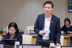 Tiến sĩ Lâm Văn Đoan - Phó Chủ nhiệm Ủy ban Văn hóa và Xã hội của Quốc hội.