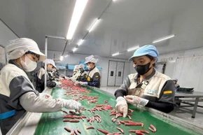 Doanh nghiệp tư nhân đầu tư dây chuyển sản xuất nông sản hiện đại, nâng cao năng suất và gia tăng giá trị sản phẩm phục vụ xuất khẩu. (Ảnh: PV)