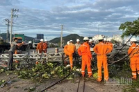 Ảnh hưởng của bão số 13 khiến hơn 1,6 triệu khách hàng tại miền trung bị mất điện.