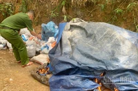 Công an xã Thạnh Bình tiêu hủy các công cụ được phát hiện tại khu vực khai thác vàng trái phép.