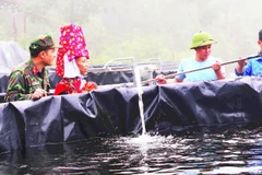 Bộ đội Lâm trường 156 (Đoàn Kinh tế-Quốc phòng 327, Quân khu 3) giúp gia đình anh Vũ Bá Luân ở bản Phật Chỉ, xã Hoành Mô (tỉnh Quảng Ninh) phát triển mô hình nuôi cá tầm nước lạnh.