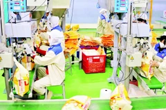 Đóng gói gạo xuất khẩu tại Nhà máy của Công ty TNHH MTV Lương thực Thạo Sơn, tỉnh An Giang. (Ảnh: TTXVN)