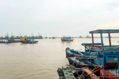 Công tác ứng phó bão số 13 được triển khai khẩn trương, đồng bộ tại các địa phương ven biển Lâm Đồng.