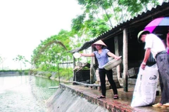 Nuôi trồng thủy sản được xác định là một ngành kinh tế mũi nhọn.