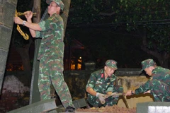 Kiểm tra, bảo đảm kỹ thuật tốt nhất cho phương tiện trước khi vận chuyển.