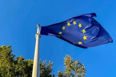 Cờ các nước Liên minh châu Âu (EU). (Ảnh: Xinhua)