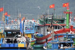 Sắc đỏ lá cờ Tổ quốc trên tàu cá đang neo đậu tại Âu thuyền cảng cá Thọ Quang. (Ảnh: ANH ĐÀO)