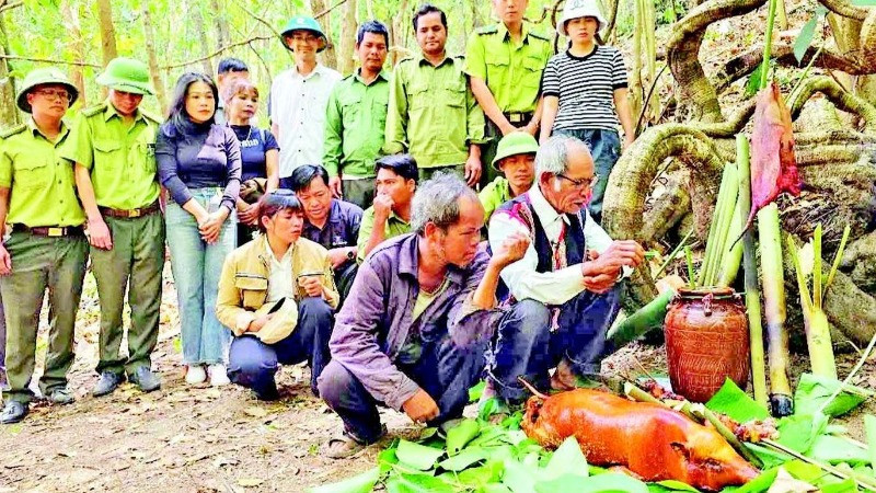 Nghi lễ cúng thần rừng của người Gia Rai tại làng O Grang, xã Ia Pếch, huyện Ia Grai.