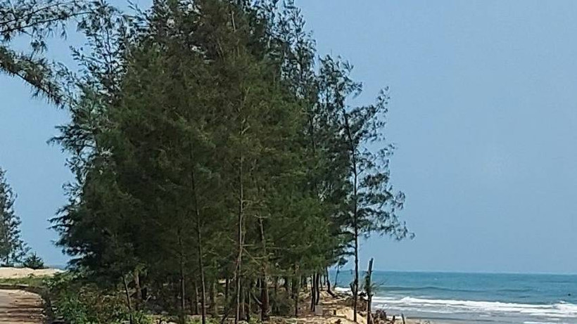 Một đoạn bờ biển phường Quảng Phúc sẽ được xây dựng kè để chống sạt lở.