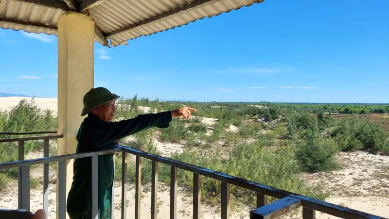 Nhân viên hợp đồng bảo vệ rừng của Ban Quản lý rừng phòng hộ Đồng Hới và ven biển tỉnh Quảng Bình trực trên chòi canh để phát hiện khói giữa rừng phi lao.