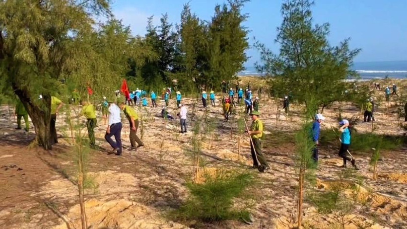 Trồng cây đầu xuân tại thành phố Đồng Hới, tỉnh Quảng Bình.