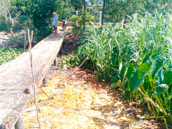 Báo Nhân Dân điện tử từng phản ánh hành vi doanh nghiệp từng xả thải ra môi trường 