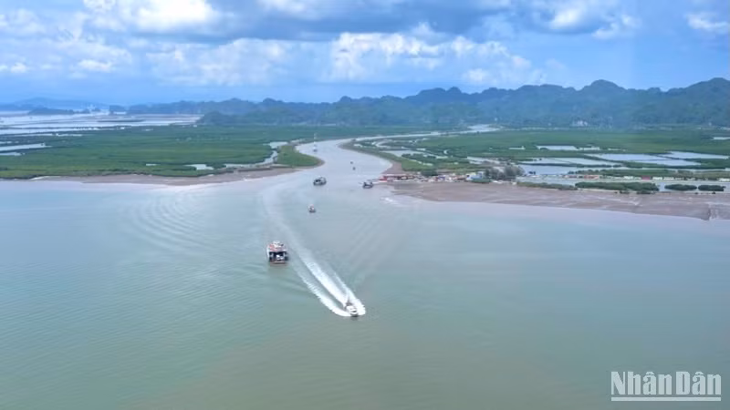 Cộng đồng chung tay góp phần bảo vệ màu xanh của biển. 