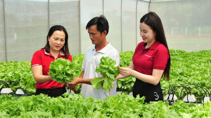 Từ nguồn vốn vay của Agribank, nhiều cá nhân, hộ gia đình đã phát triển hiệu quả mô hình sản xuất kinh doanh, thoát nghèo và vươn lên làm giàu.