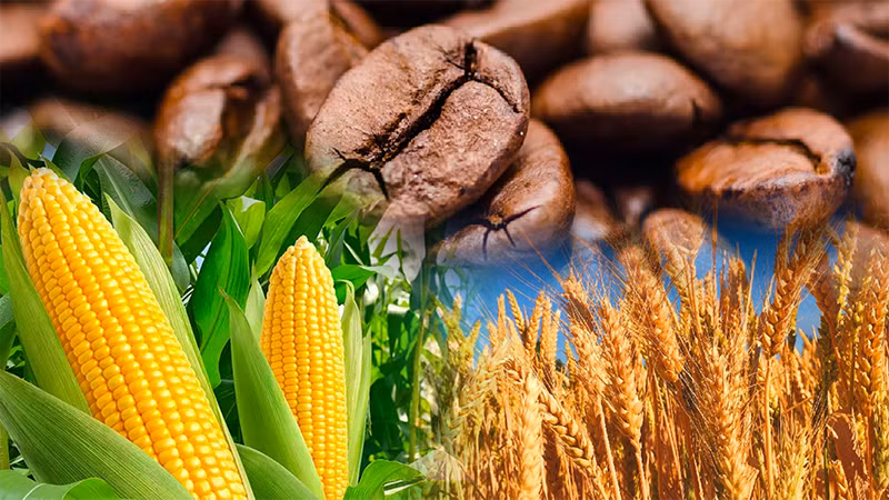 Lực mua áp đảo trên thị trường hàng hóa nguyên liệu thế giới 