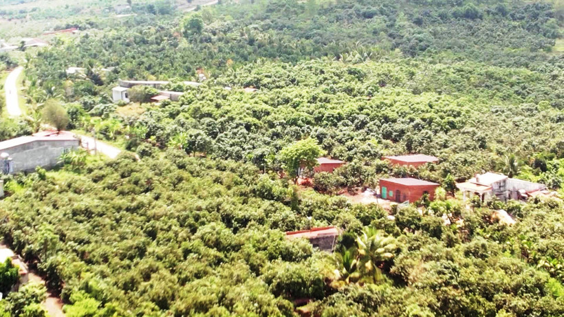 Nhiều công trình nhà ở, giếng khoan được tạo lập trong Dự án Hồ thủy lợi Đắk Gang thuộc xã Đắk Gằn và Đắk R’la, huyện Đắk Mil, tỉnh Đắk Nông nhằm mục đích trục lợi.