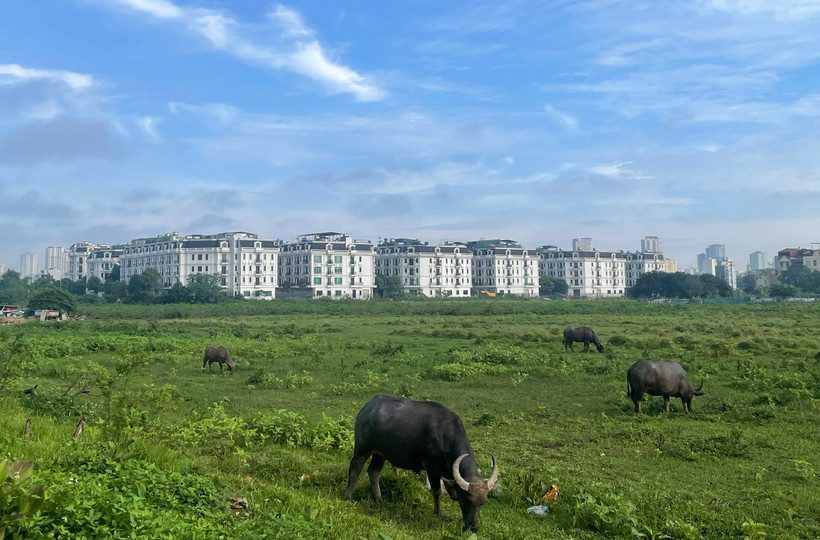 Dự báo khu vực Hà Nội ngày nắng, có nơi nắng nóng. (Ảnh minh họa: Đ.T)