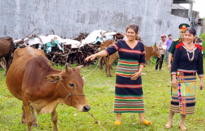 Các hộ đồng bào dân tộc thiểu số tại huyện Bù Đăng vui mừng khi được trao bò giống.