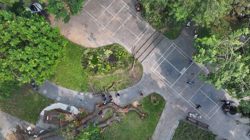 Công viên Cổ Tân nơi cây xà cừ đổ.