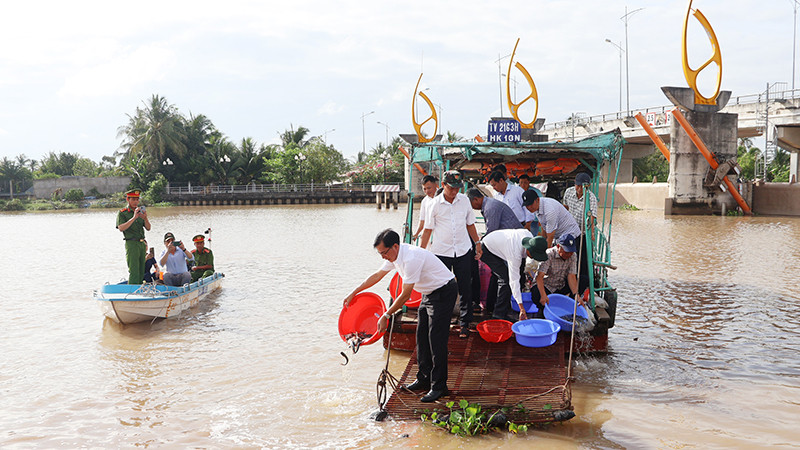 Thả cá giống ra sông tại xã An Phú Tân, huyện Cầu Kè, tỉnh Trà Vinh.