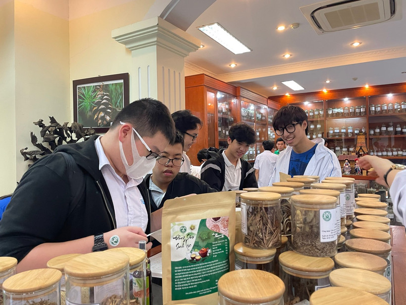 Học sinh tham quan Bảo tàng Dược liệu Việt Nam.